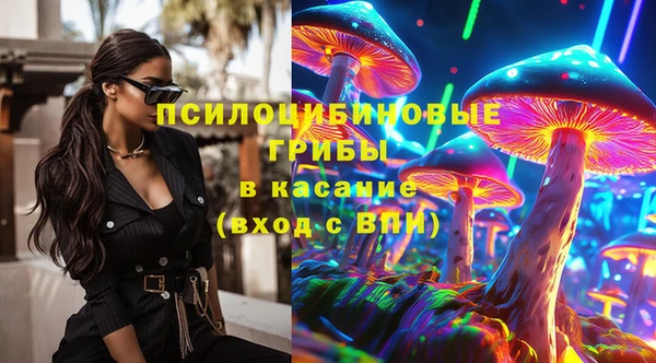 PSILOCYBIN Гусев