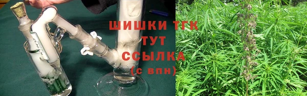 PSILOCYBIN Гусев